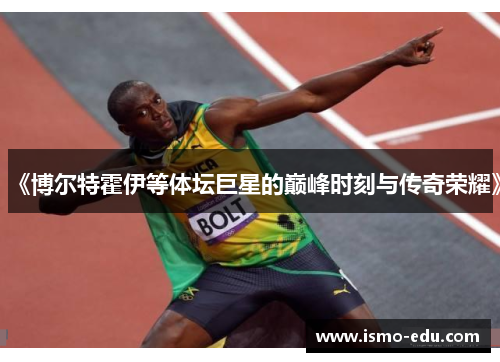 《博尔特霍伊等体坛巨星的巅峰时刻与传奇荣耀》