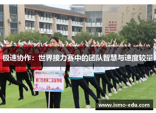 极速协作：世界接力赛中的团队智慧与速度较量