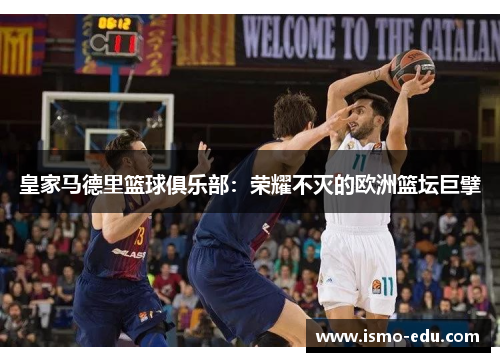 皇家马德里篮球俱乐部：荣耀不灭的欧洲篮坛巨擘