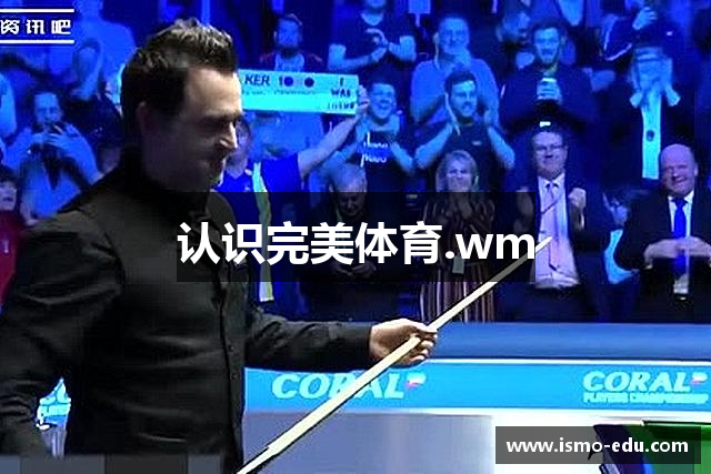 认识完美体育.wm